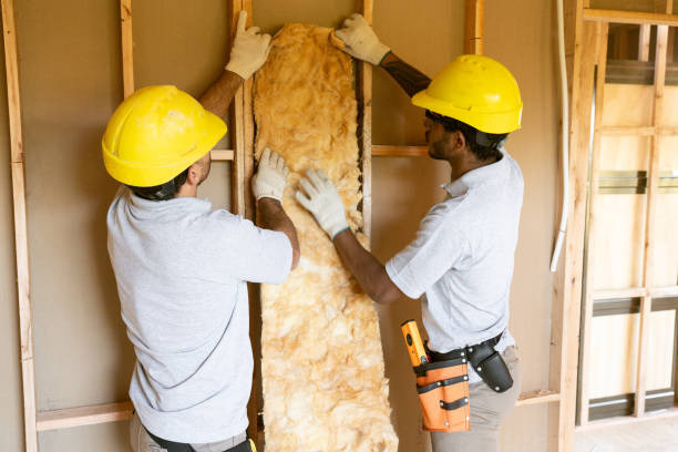 Eco-Friendly or Green Insulation Solutions in Tysons, VA